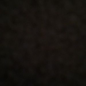 Meet your Posher, Ericka